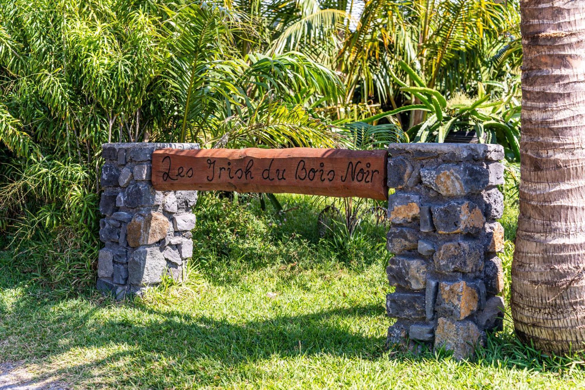 Villa Et Grand Jacuzzi Six Personnes, En Pleine Nature Saint-Joseph Ngoại thất bức ảnh